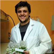 Clases de Química para nivel secundario y universitario